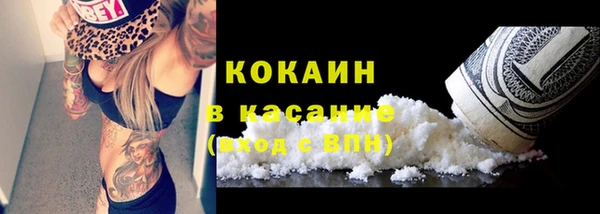 мяу мяу кристалл Корсаков