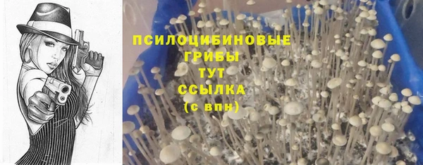 mdma Костерёво
