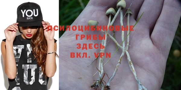 альфа пвп Краснотурьинск