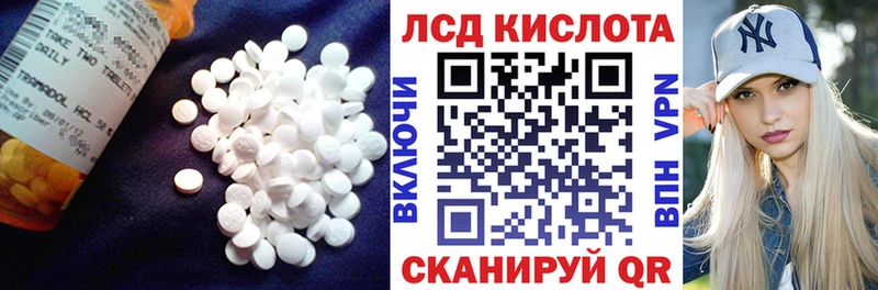 Купить закладки  Новосибирск  LSD-25 экстази ecstasy 
