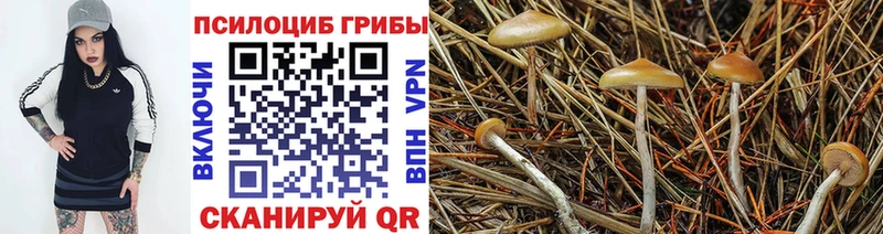 Псилоцибиновые грибы мухоморы  Купить где  Новосибирск